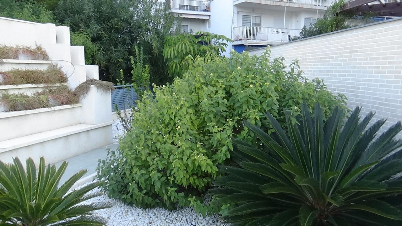 Aпартаменты В San Juan Playa Alicante Dış mekan fotoğraf
